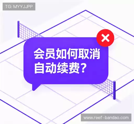 问题解答桥