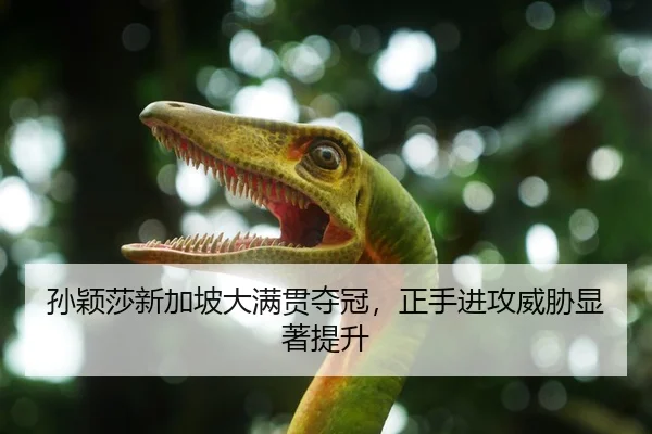 孙颖莎新加坡大满贯夺冠，正手进攻威胁显著提升